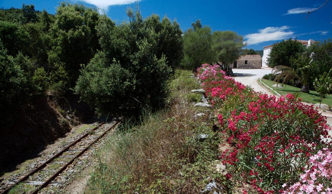 Hotel Valkarana Country Relais (Adults Only) Sant'Antonio di Gallura Bagian luar foto
