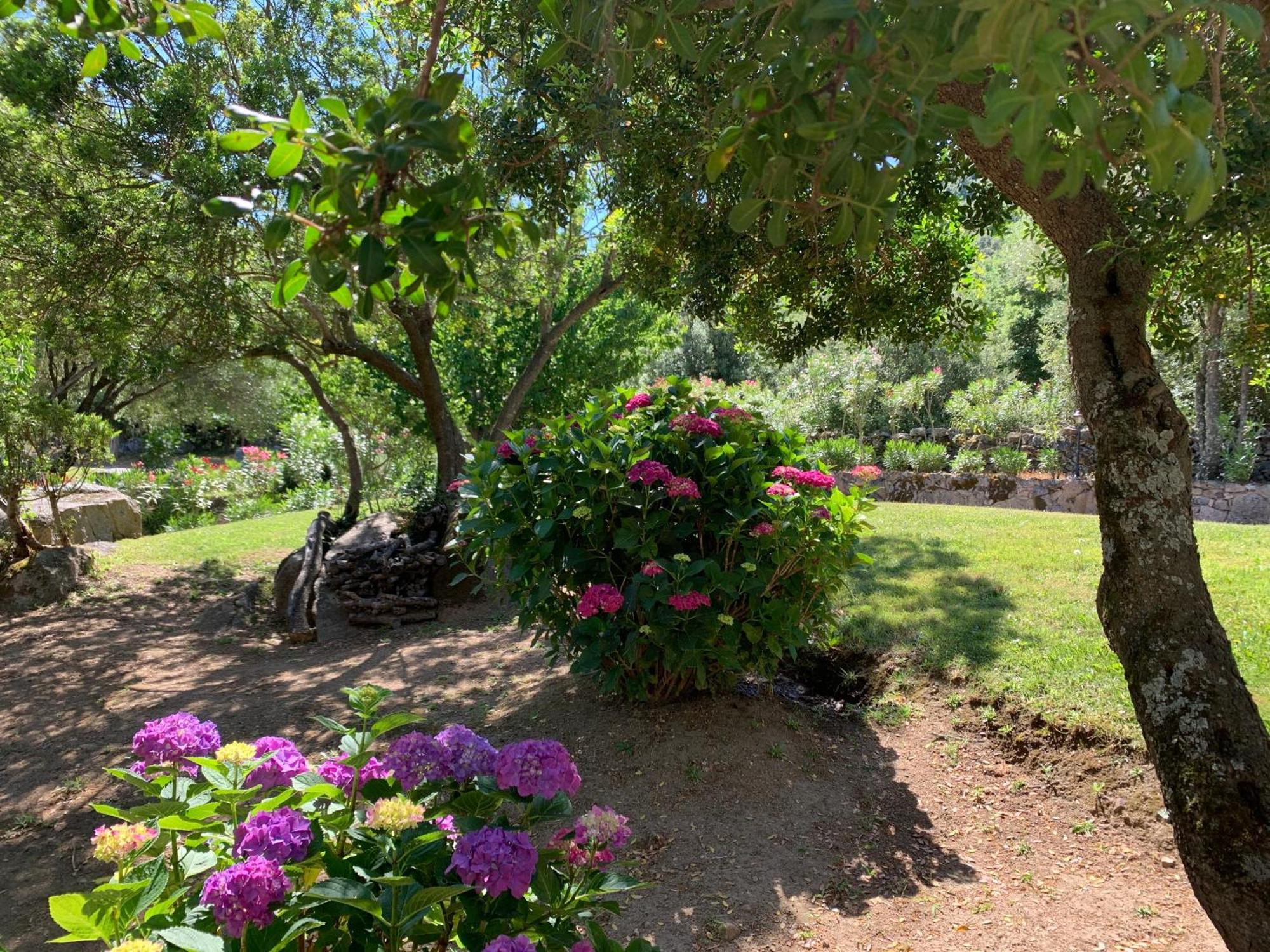 Hotel Valkarana Country Relais (Adults Only) Sant'Antonio di Gallura Bagian luar foto